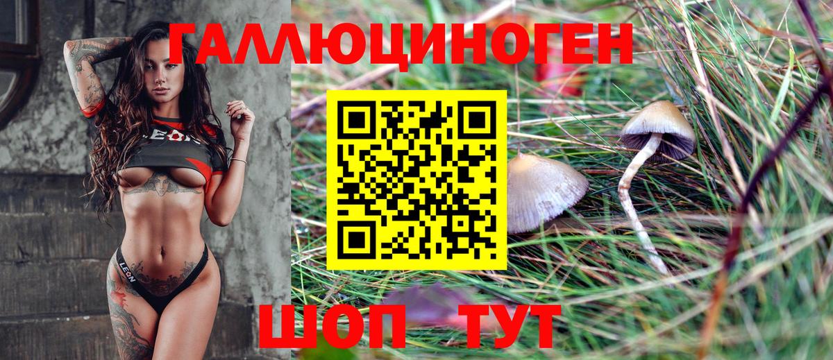 Псилоцибиновые грибы мицелий  купить   Копейск  Вход с VPN 